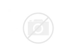 Dinkeltje Spelt BP 100% MZ 25 kg